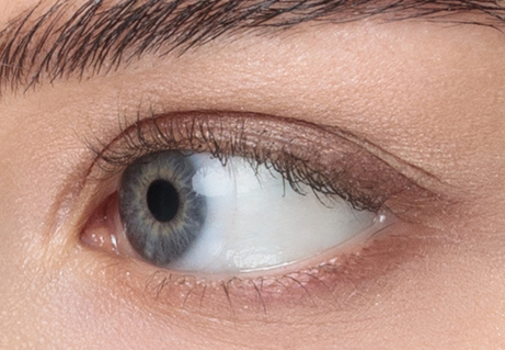 Gros plan d'un oeil avec des cils courts