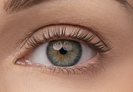 Gros plan sur un œil aux cils plus longs et plus fournis après utilisation du sérum